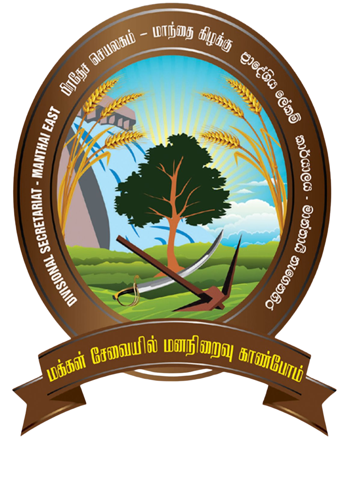 DS Logo